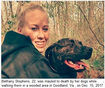 http://www.nydailynews.com/news/national/virginia-woman-killed-pitbulls-grisly-mauling-article-1.3703517