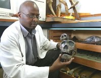 Feb. 1: Samuel Muteti of Kenya's National Museum holds a replica of the Turkana Boy skull in Nairobi.