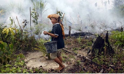 Palm oil farmers in Sumatra, Indonesia. Photograph: AP/Tatan Syuflana