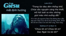 Image may contain: text