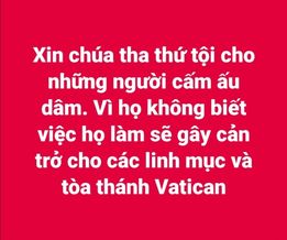 Image may contain: text that says 'Xin chúa tha thứ tội cho những người căm au dâm. Vi họ không biết việc họ làm se gây cản trở cho các linh muc và tòa thánh Vatican'