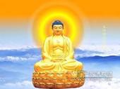 https://giaodiemonline.com/2012/05/images/zen08.jpg