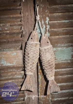 Image result for cá gỠnghỠan là gì