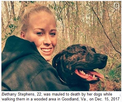 https://www.nydailynews.com/news/national/virginia-woman-killed-pitbulls-grisly-mauling-article-1.3703517